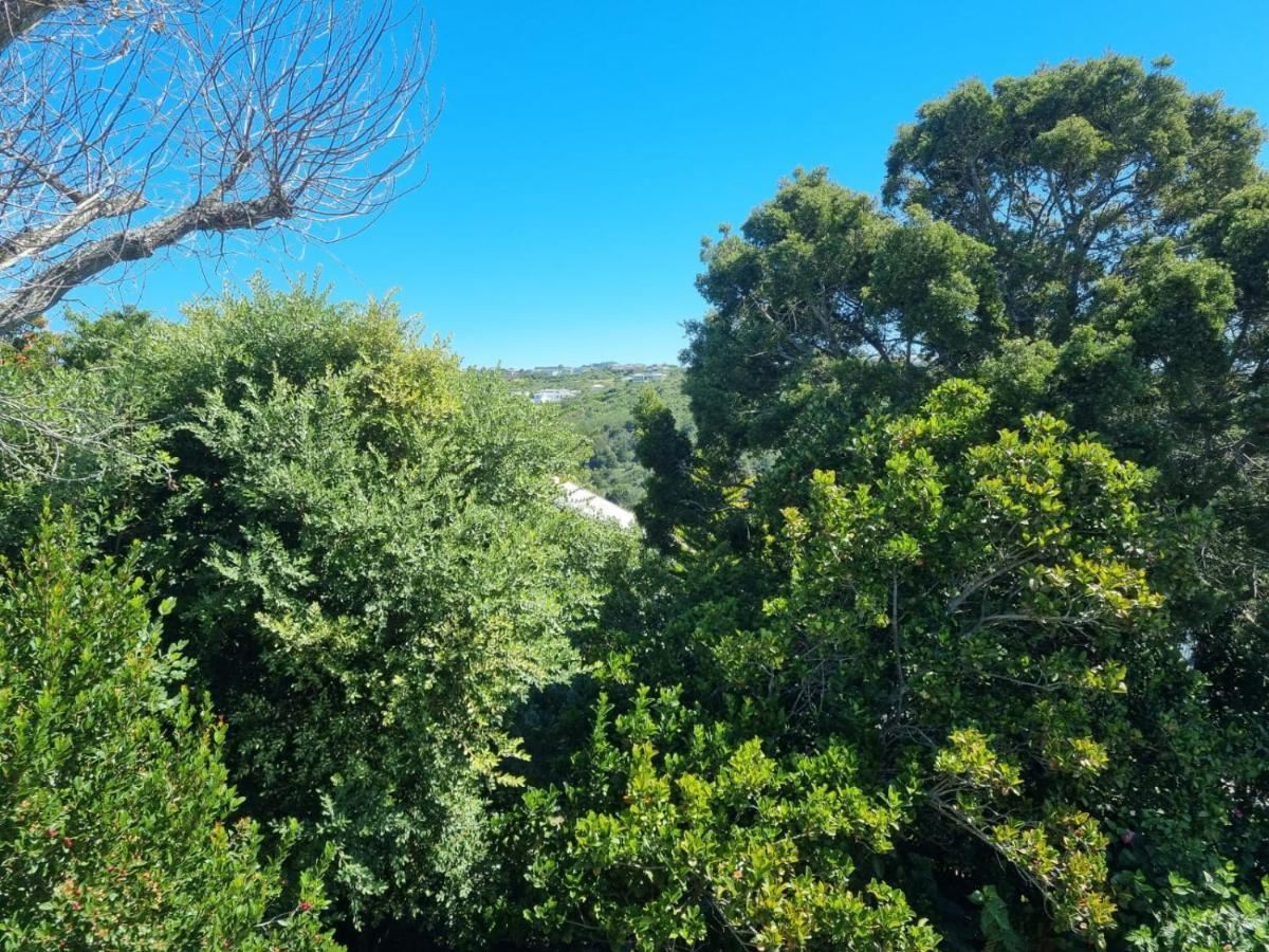 Modern Solar Powered 1 Bed Studio Apartment With Amazing Views Plettenberg Bay Bagian luar foto